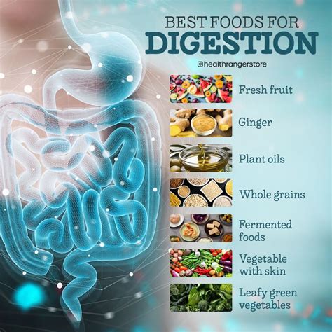 Top 10 Foods for a Healthy Digestive System